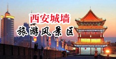 来个日逼网站中国陕西-西安城墙旅游风景区